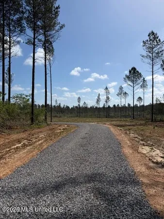 $294,720 | 25-acres City Bridge Road, Wiggins, MS 39577