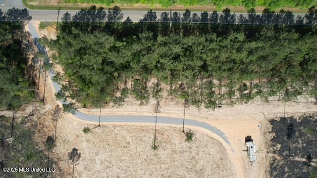 25-acres City Bridge Road Wiggins, MS 39577 - Photo 11 of 14 dji_fly_20260410_101304_506_177593356174