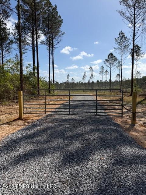 25-acres City Bridge Road Wiggins, MS 39577 - Photo 13 of 14 IMG_0897
