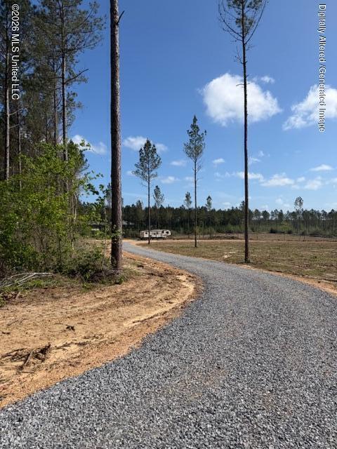 25-acres City Bridge Road Wiggins, MS 39577 - Photo 14 of 14 IMG_0899