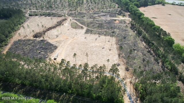 25-acres City Bridge Road Wiggins, MS 39577 - Photo 2 of 14 aerial
