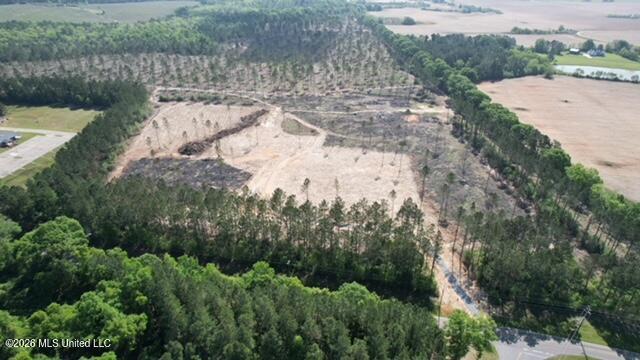 25-acres City Bridge Road Wiggins, MS 39577 - Photo 3 of 14 dji_fly_20260410_100904_498_177593357618
