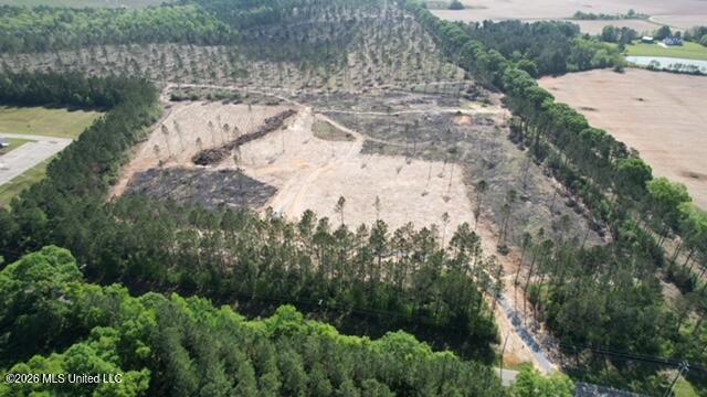 25-acres City Bridge Road Wiggins, MS 39577 - Photo 4 of 14 dji_fly_20260410_100912_499_177593356699