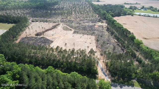 25-acres City Bridge Road Wiggins, MS 39577 - Photo 5 of 14 dji_fly_20260410_100930_500_177593356885