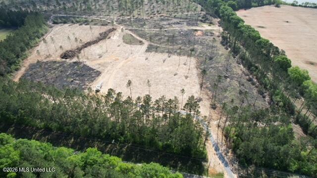 25-acres City Bridge Road Wiggins, MS 39577 - Photo 6 of 14 dji_fly_20260410_100948_501_177593357075