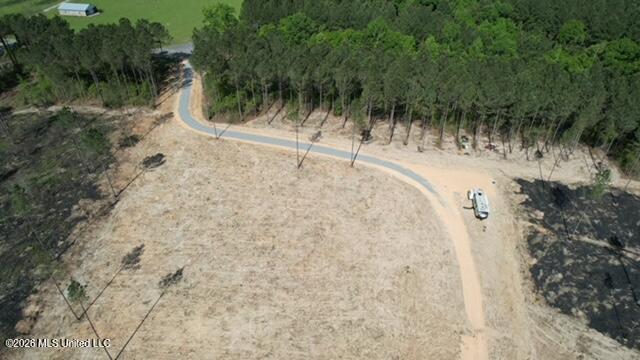 25-acres City Bridge Road Wiggins, MS 39577 - Photo 10 of 14 dji_fly_20260410_101216_505_177593356348