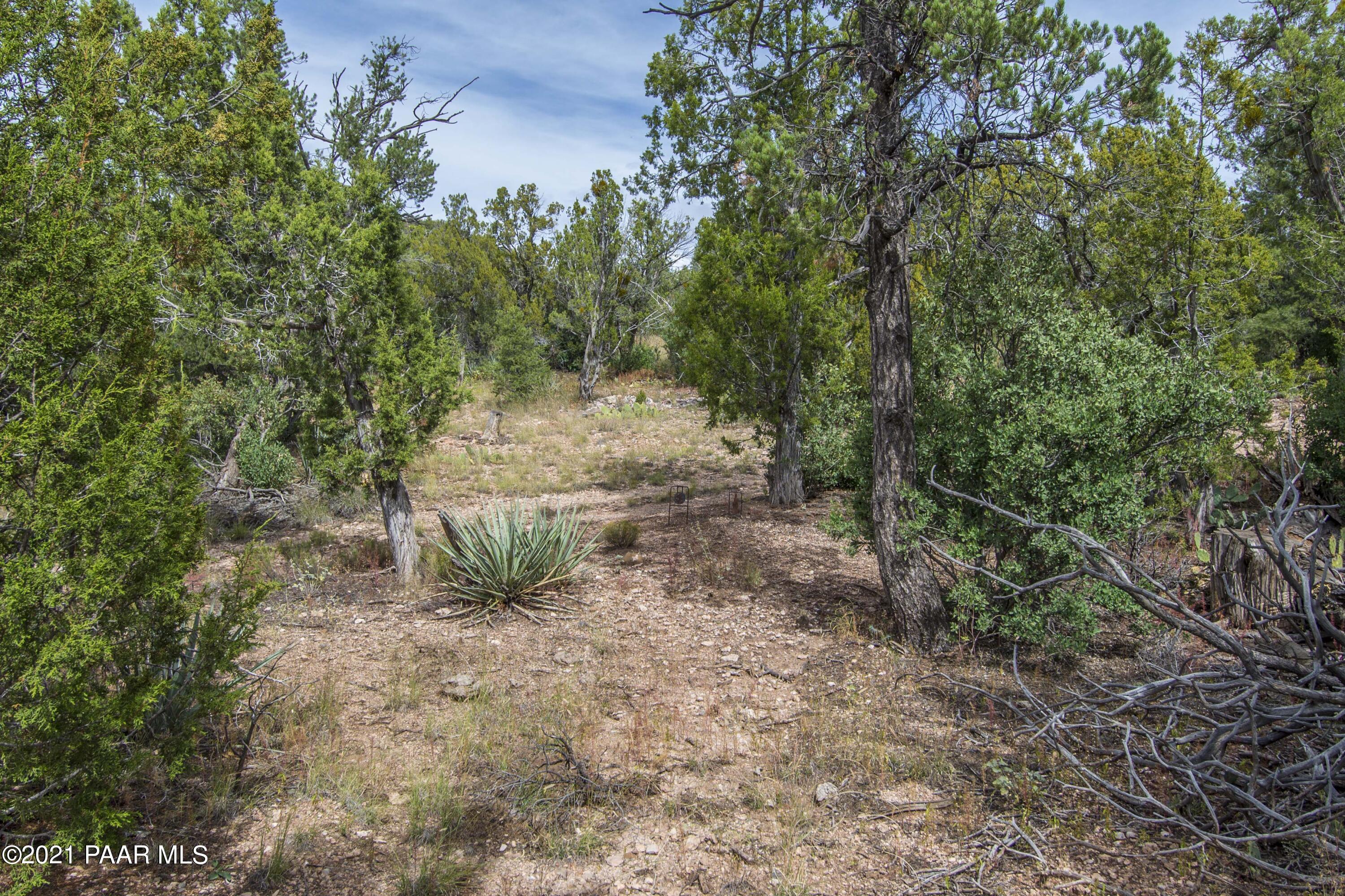 33200 West Cowboy Clint Road Seligman, AZ 86337 - Photo 24 of 35 cowboyclint (55)