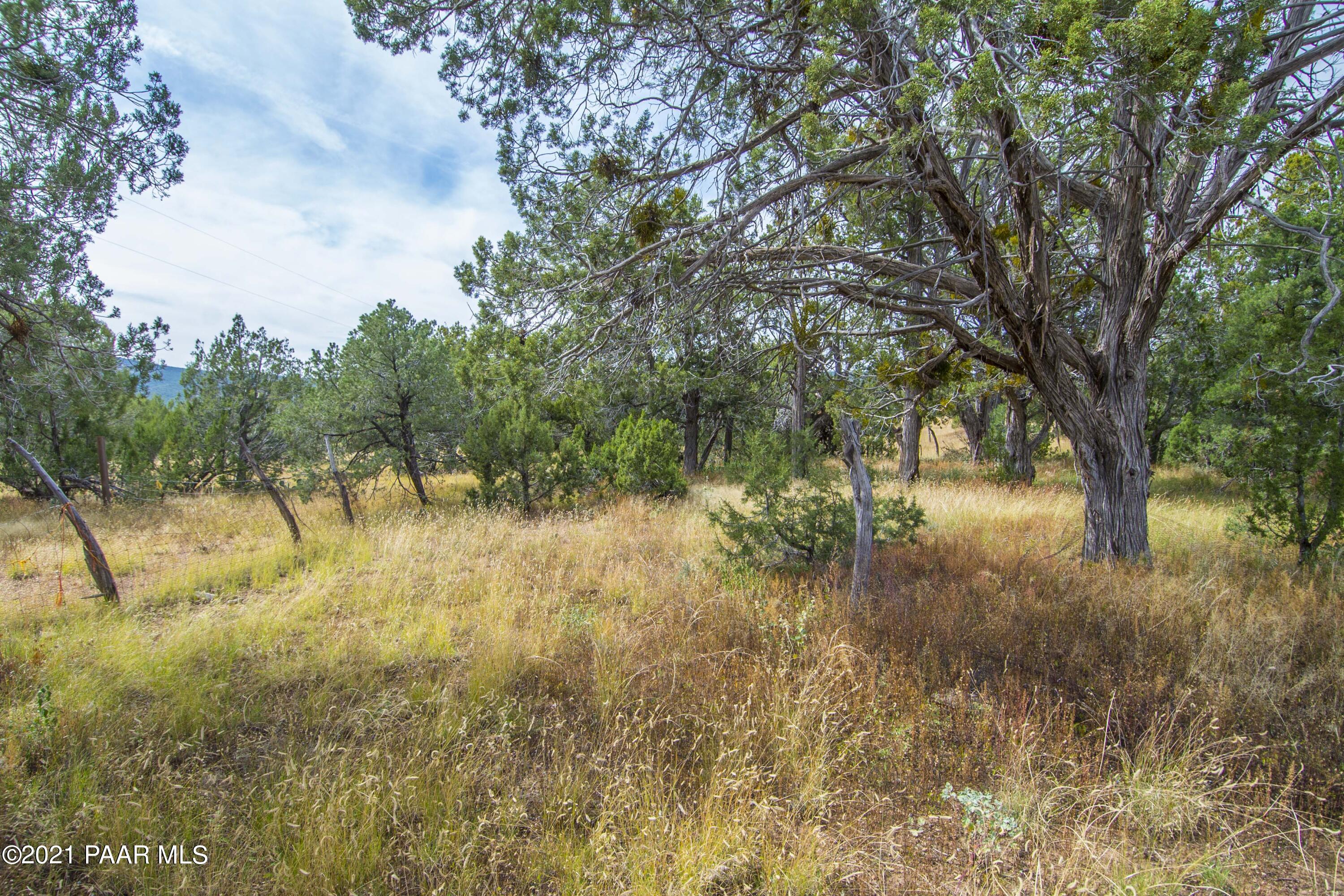 33200 West Cowboy Clint Road Seligman, AZ 86337 - Photo 25 of 35 cowboyclint (66)