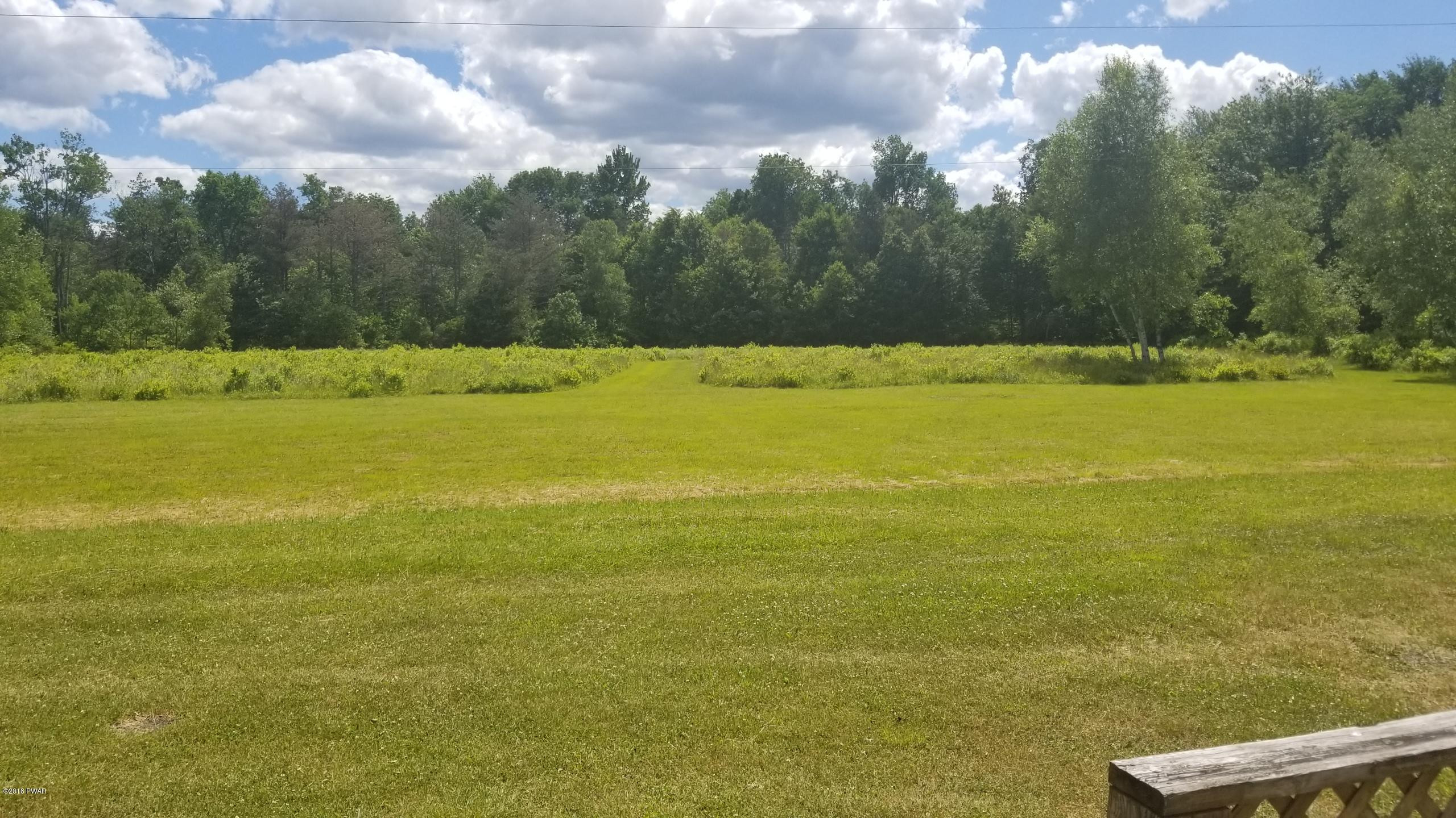 393 Duck Harbor Road Equinunk, PA 18417 - Photo 8 of 13 Open Fields