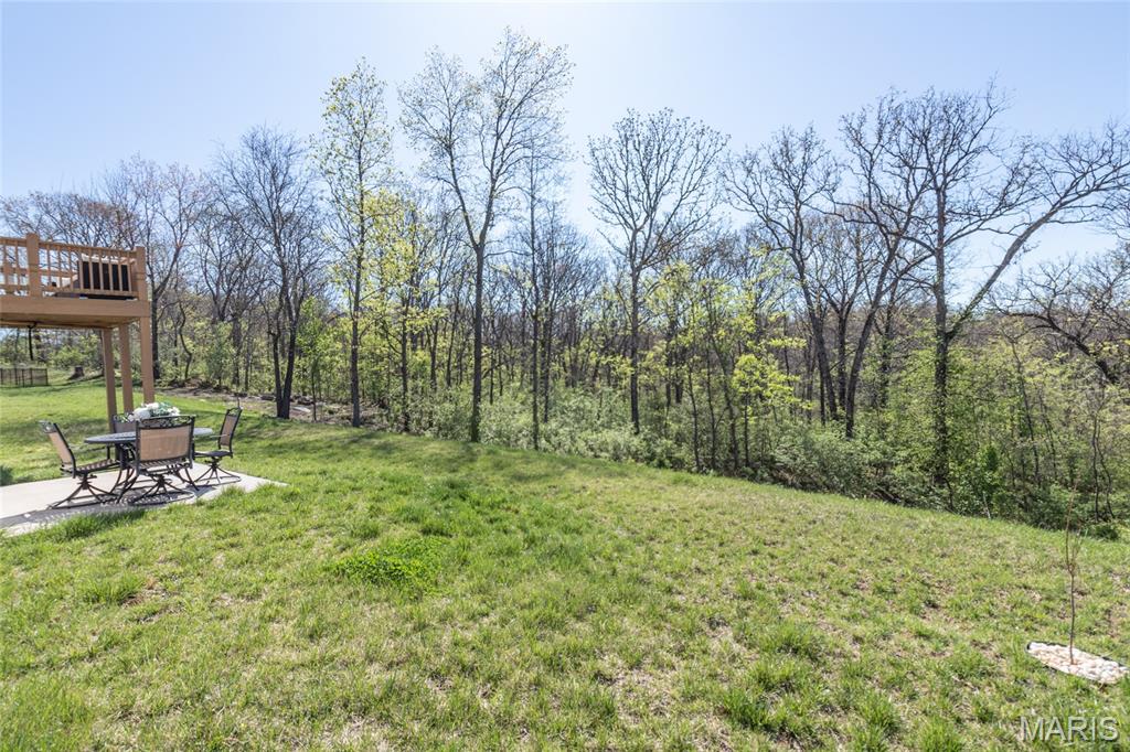 7474 Shadow Point Drive St. Louis, MO 63129 - Photo 61 of 66