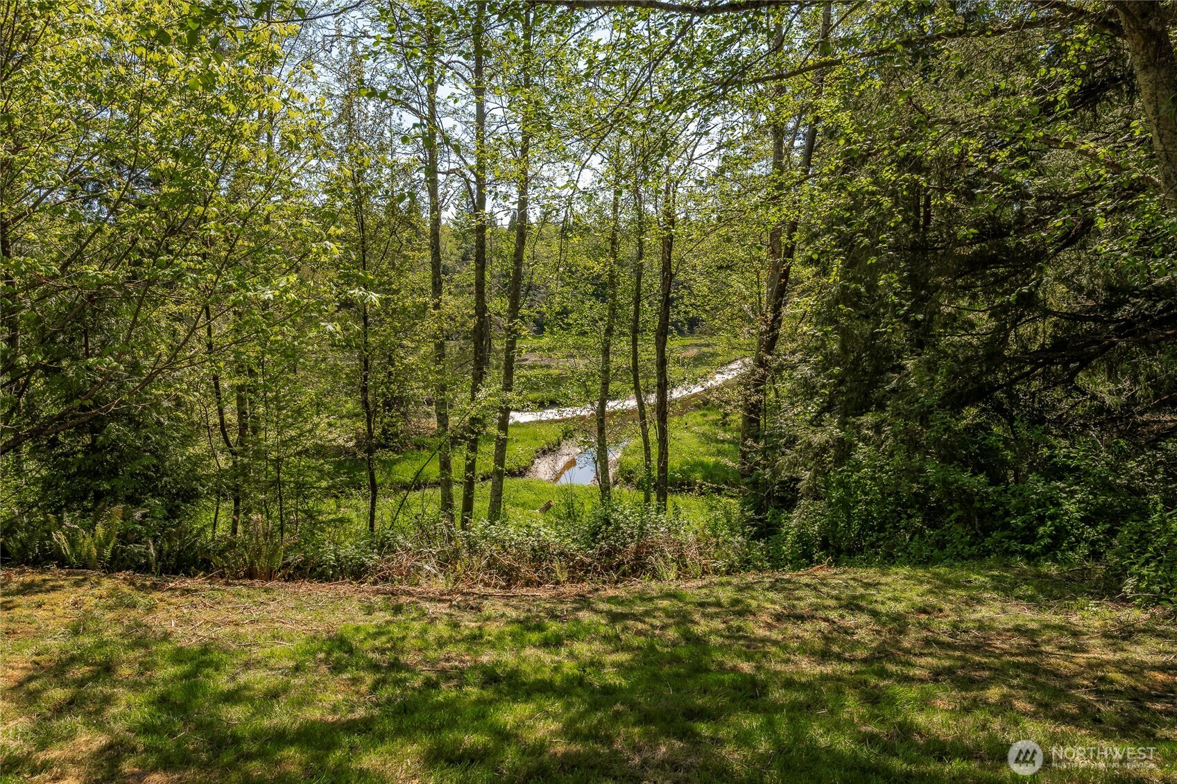 4003 Hoier Road Blaine, WA 98230 - Photo 13 of 30