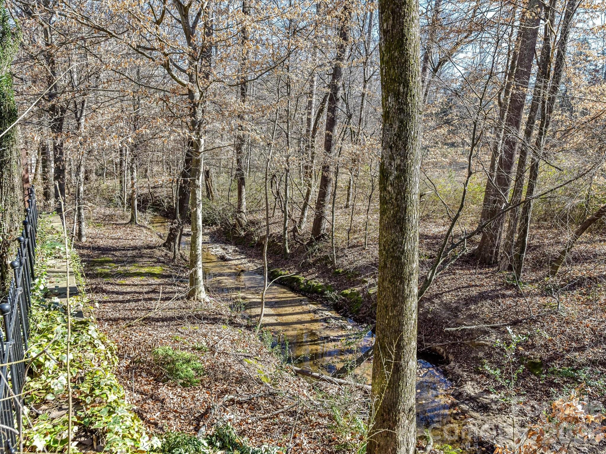 119 Edgington Street Mooresville, NC 28115 - Photo 36 of 43 a view of a yard with trees