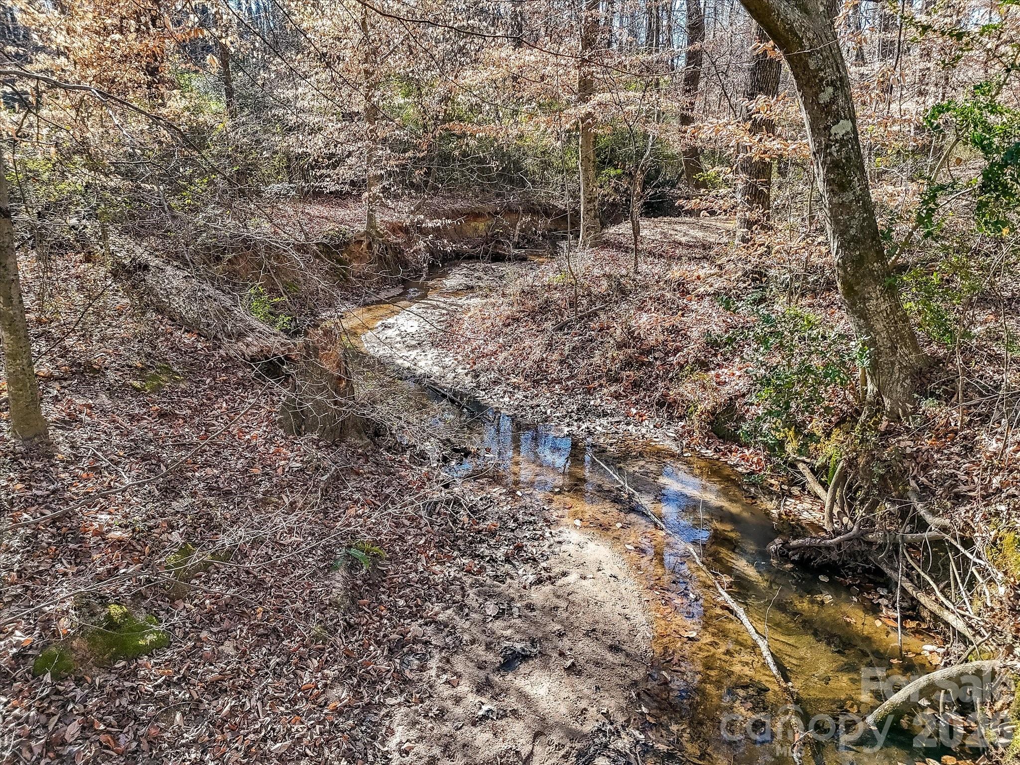 119 Edgington Street Mooresville, NC 28115 - Photo 37 of 43 a view of a forest with a trees