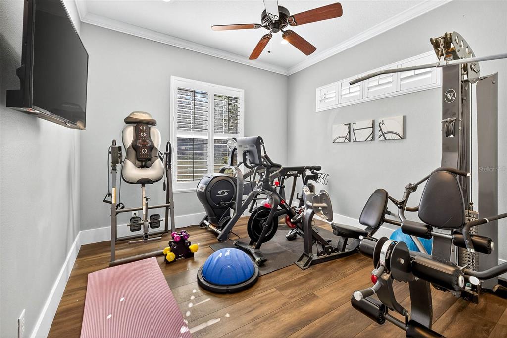 18051 Hancock Bluff Road Dade City, FL 33523 - Photo 40 of 98 a view of a room with gym equipment