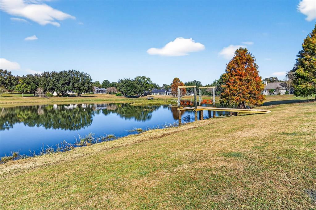 18051 Hancock Bluff Road Dade City, FL 33523 - Photo 85 of 98 a view of a lake