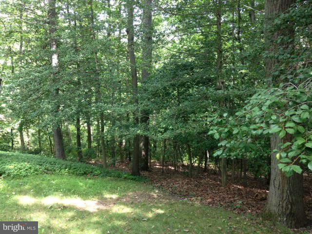 58 Jones Station Road Arnold, MD 21012 - Photo 3 of 28 Lovely wooded view