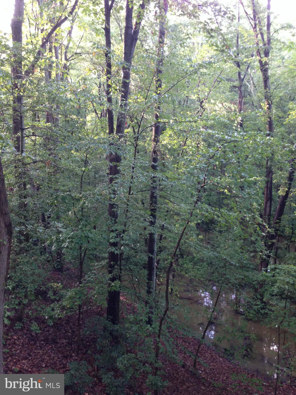 58 Jones Station Road Arnold, MD 21012 - Photo 25 of 28 Wood View overlooking stream
