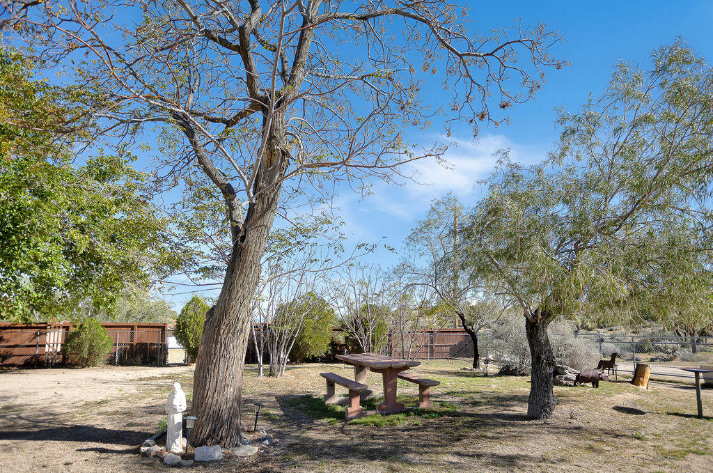 5134 Malin Way Yucca Valley, CA 92284 - Photo 2 of 27 a view of a yard with trees