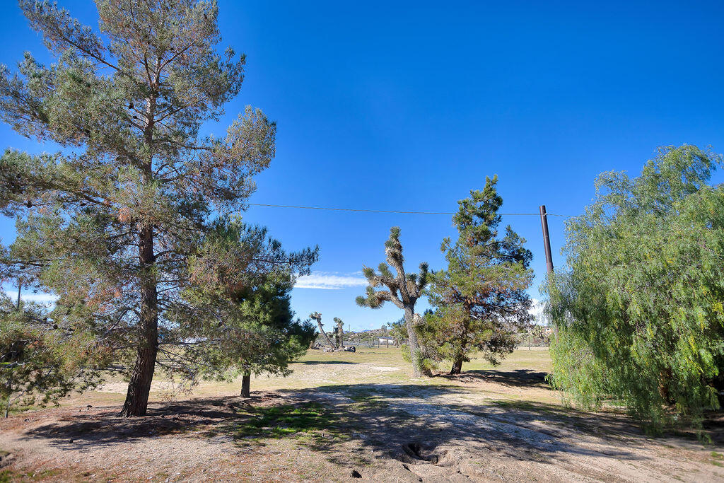5134 Malin Way Yucca Valley, CA 92284 - Photo 3 of 27 a view of a yard with plants and trees