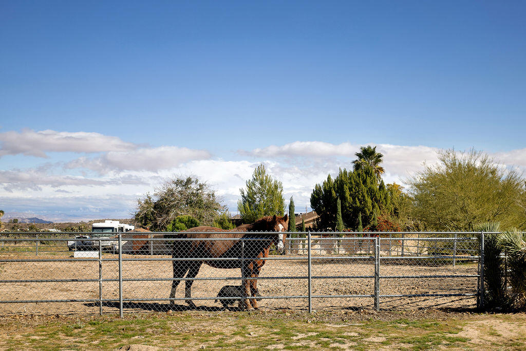 5134 Malin Way Yucca Valley, CA 92284 - Photo 4 of 27 a view of swimming pool with lake view and mountain view