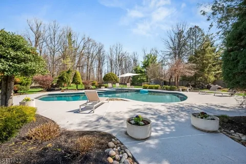 a view of a swimming pool with a patio and plants
