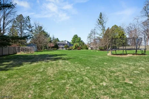 a view of a park with large trees