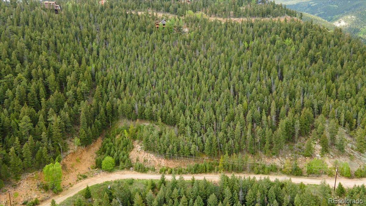 Clear Creek Road Evergreen, CO 80439 - Photo 11 of 26 a view of a yard