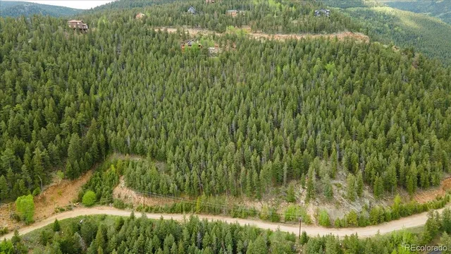 a view of a yard in front of a house
