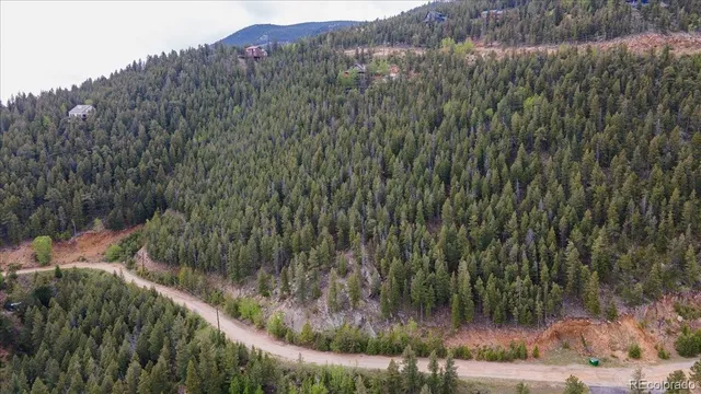 a view of a lake in middle of the forest