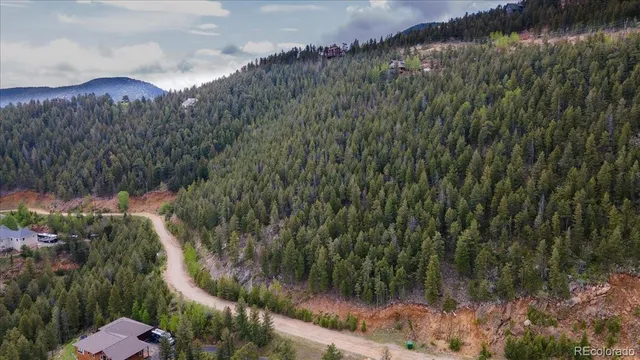 a view of a forest with a mountain and trees