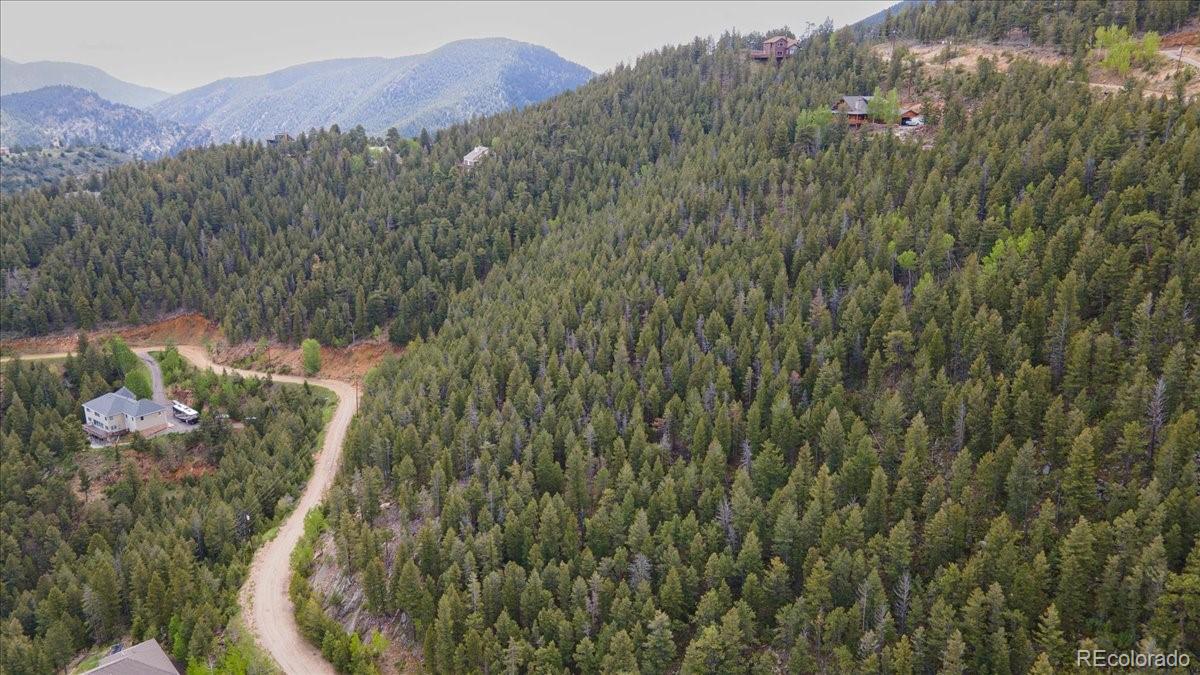 Clear Creek Road Evergreen, CO 80439 - Photo 15 of 26 a view of a forest with a mountain and trees