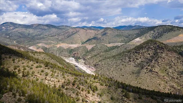 a picture of a tree with a plant