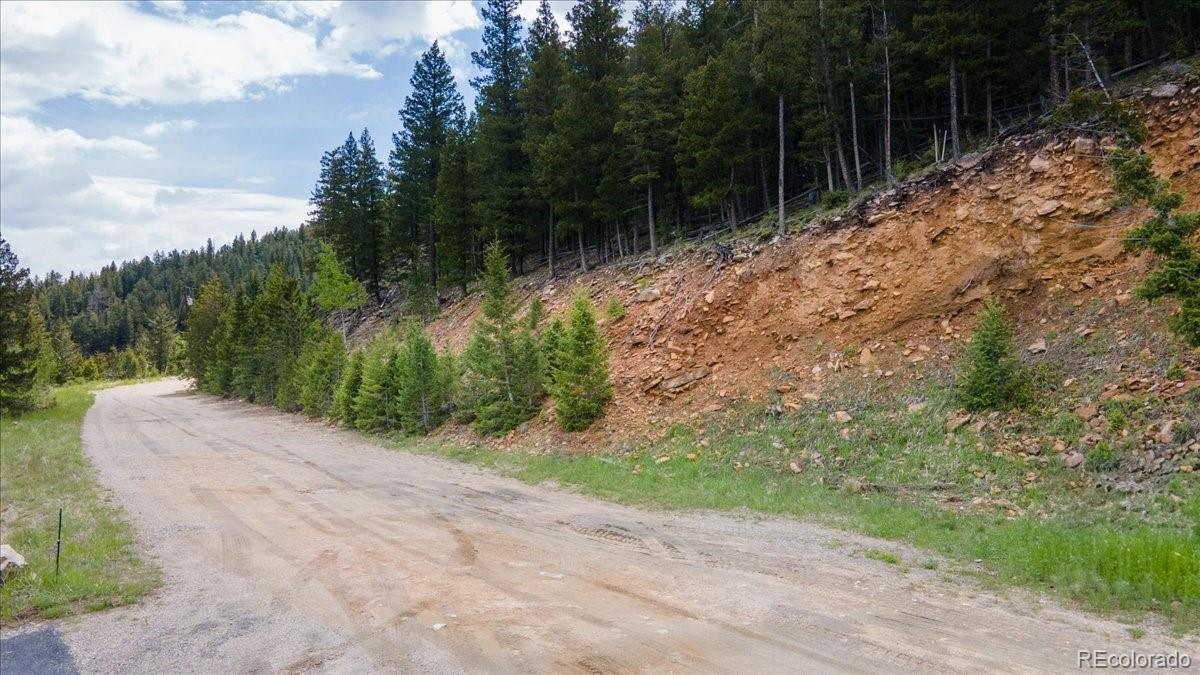 Clear Creek Road Evergreen, CO 80439 - Photo 2 of 26 a backyard of a house with lots of green space