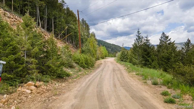 a backyard of a house with lots of plants and trees