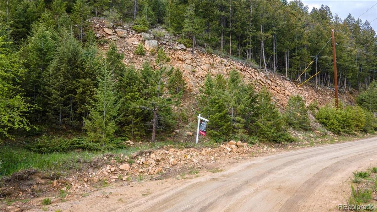 Clear Creek Road Evergreen, CO 80439 - Photo 25 of 26 a backyard of a house with lots of plants and trees