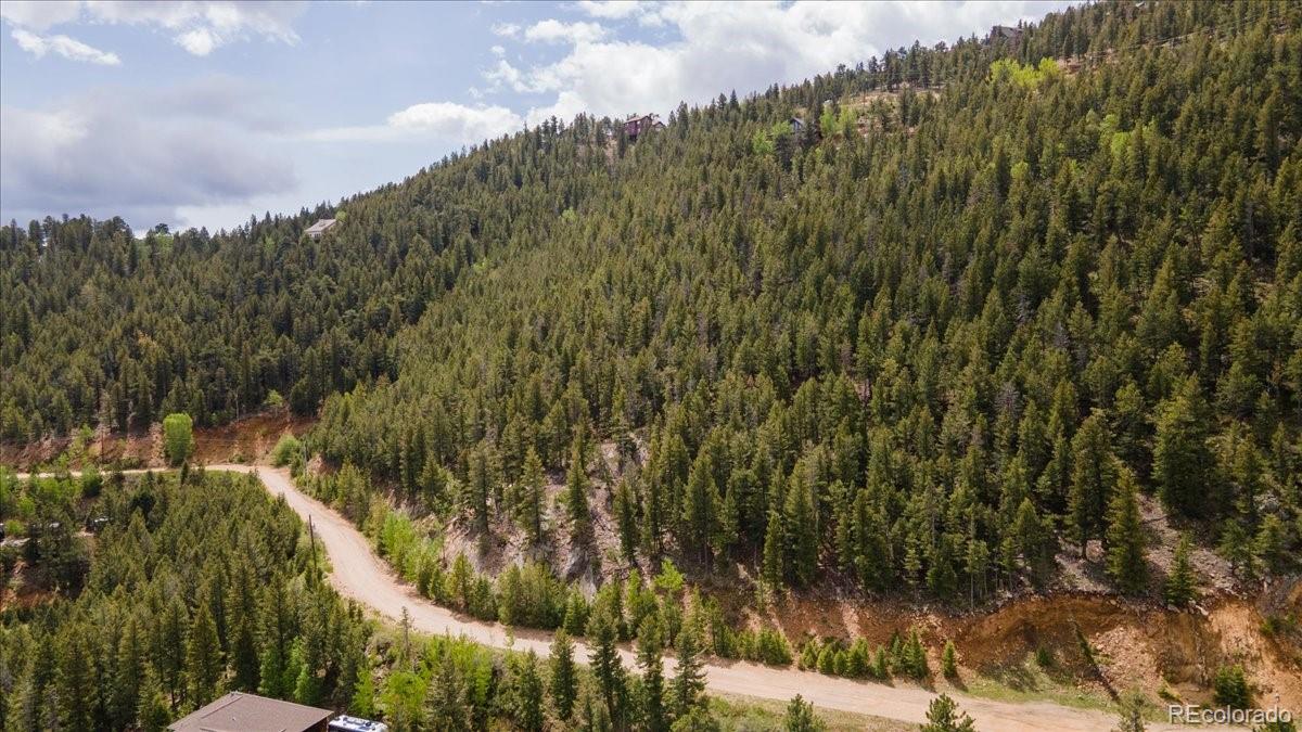 Clear Creek Road Evergreen, CO 80439 - Photo 26 of 26 a view of a yard