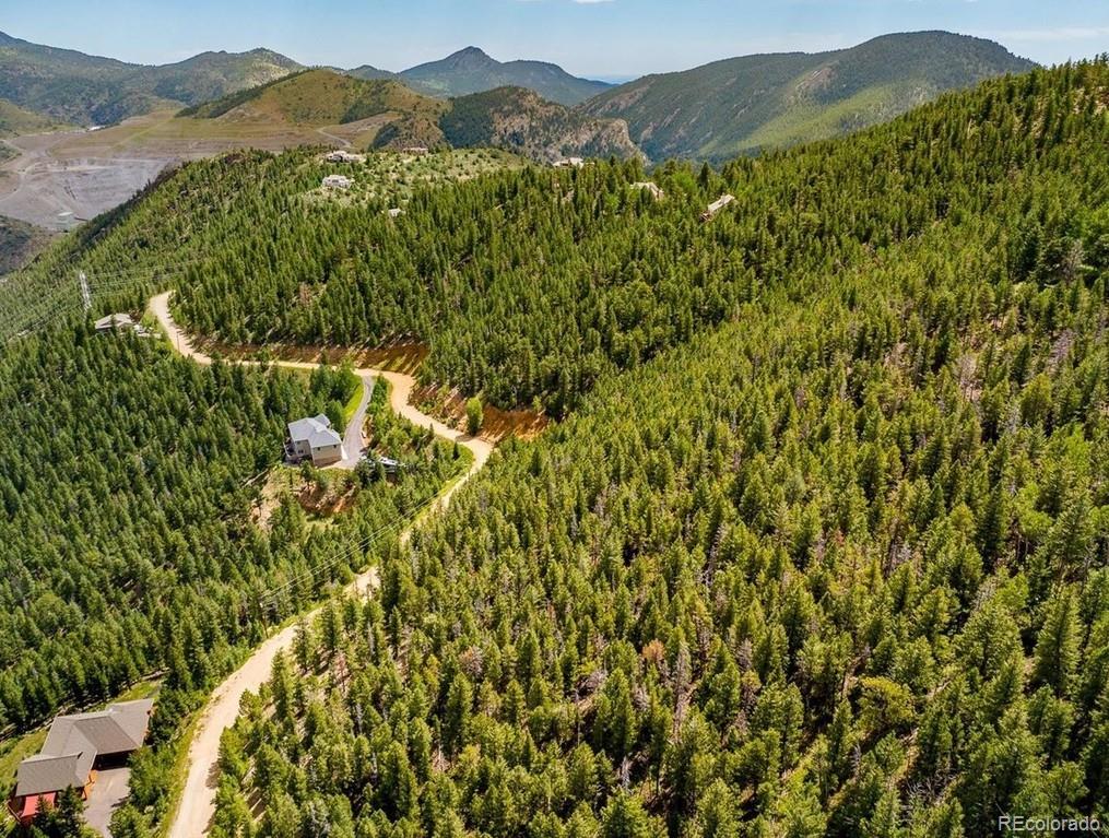 Clear Creek Road Evergreen, CO 80439 - Photo 4 of 26 a view of a lush green forest with a house
