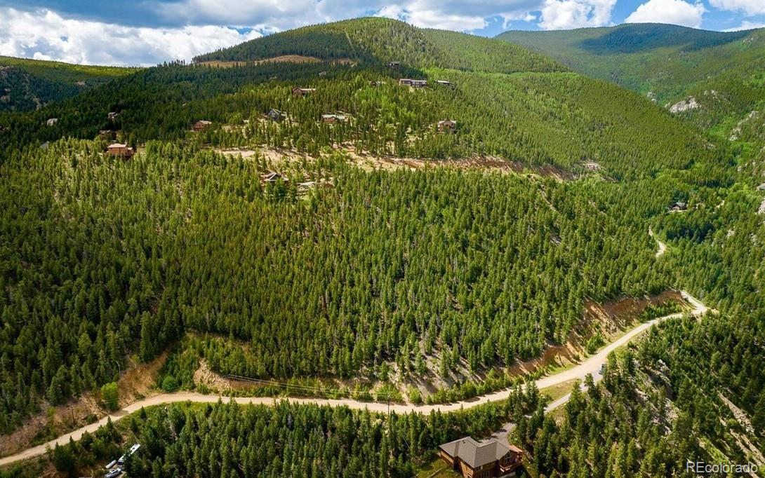 Clear Creek Road Evergreen, CO 80439 - Photo 8 of 26 a view of a yard