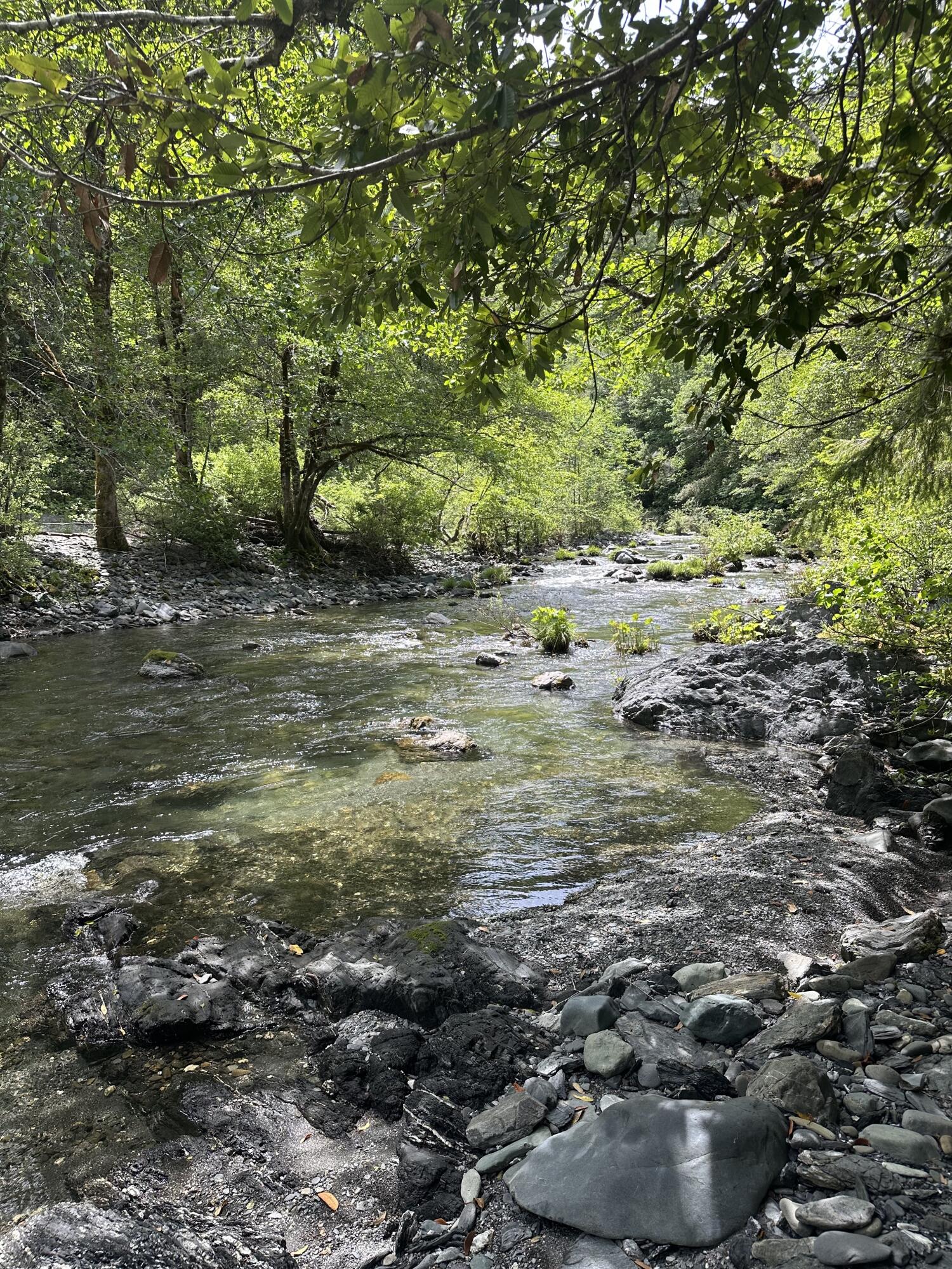 328-acres Saber Tooth Road Blue Lake, CA 95525 - Photo 1 of 23