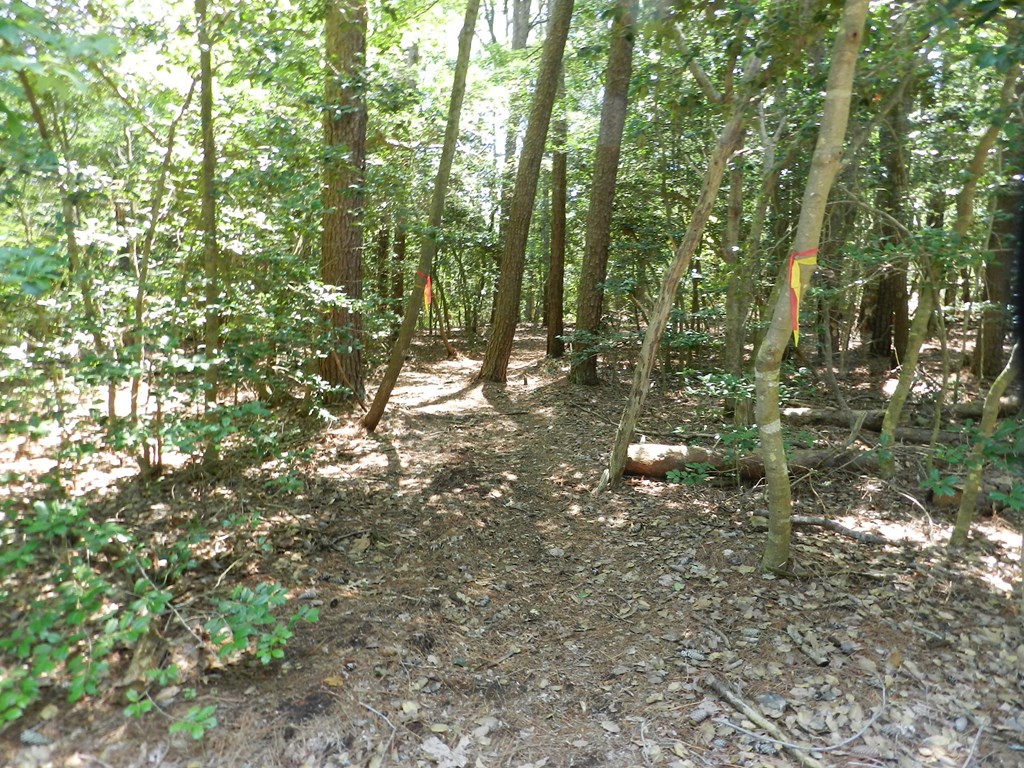Lot B6 Saltworks Road, Unit B6 Exmore, VA 23350 - Photo 24 of 28
