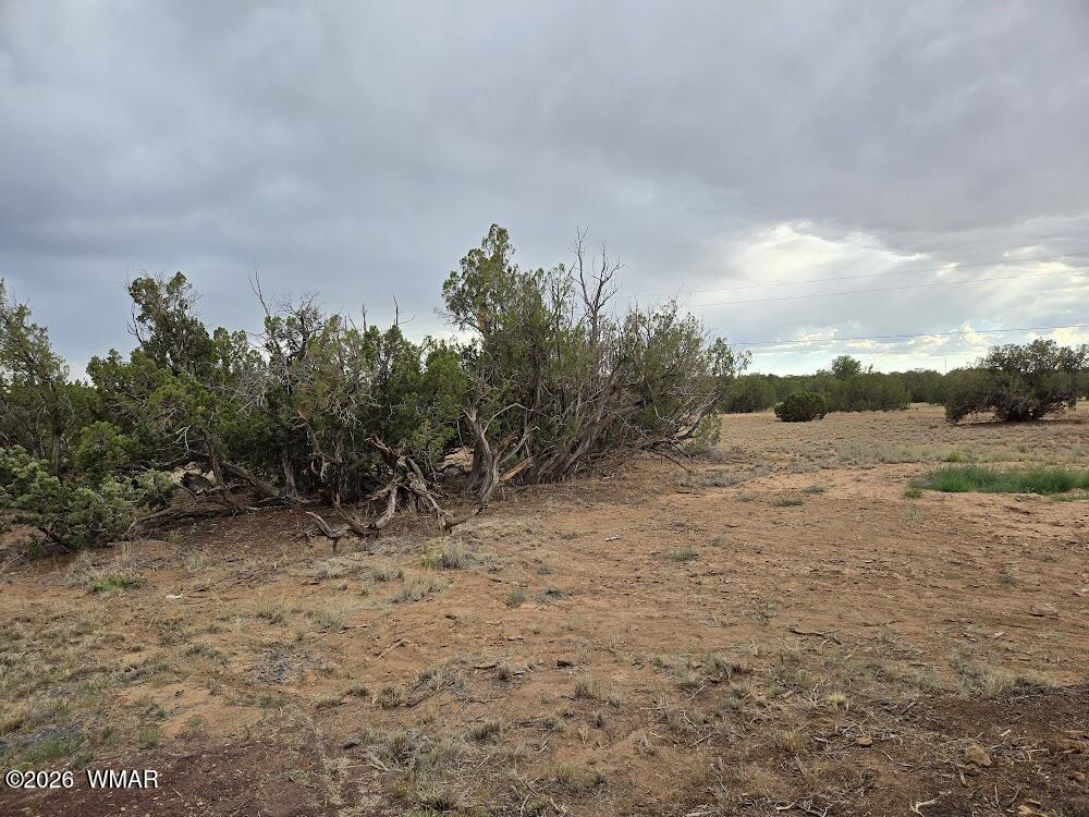 3845 Petersen Road Snowflake, AZ 85937 - Photo 38 of 60