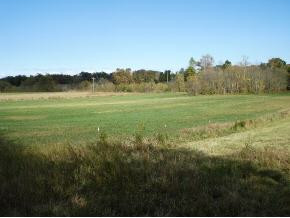 0 Flatwoods & Carters Valley Road Greeneville, TN 37745 - Photo 3 of 9 Photo 3