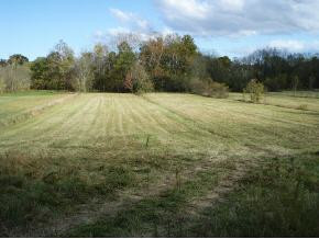 0 Flatwoods & Carters Valley Road Greeneville, TN 37745 - Photo 4 of 9 Photo 4