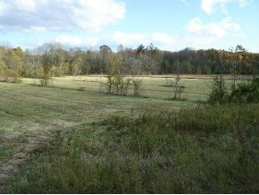 0 Flatwoods & Carters Valley Road Greeneville, TN 37745 - Photo 5 of 9 Photo 5
