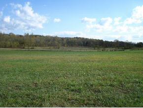 0 Flatwoods & Carters Valley Road Greeneville, TN 37745 - Photo 6 of 9 Photo 6