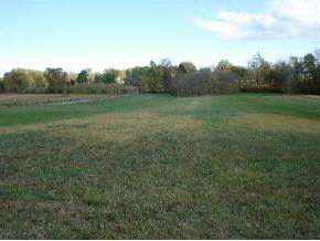 0 Flatwoods & Carters Valley Road Greeneville, TN 37745 - Photo 8 of 9 Photo 8
