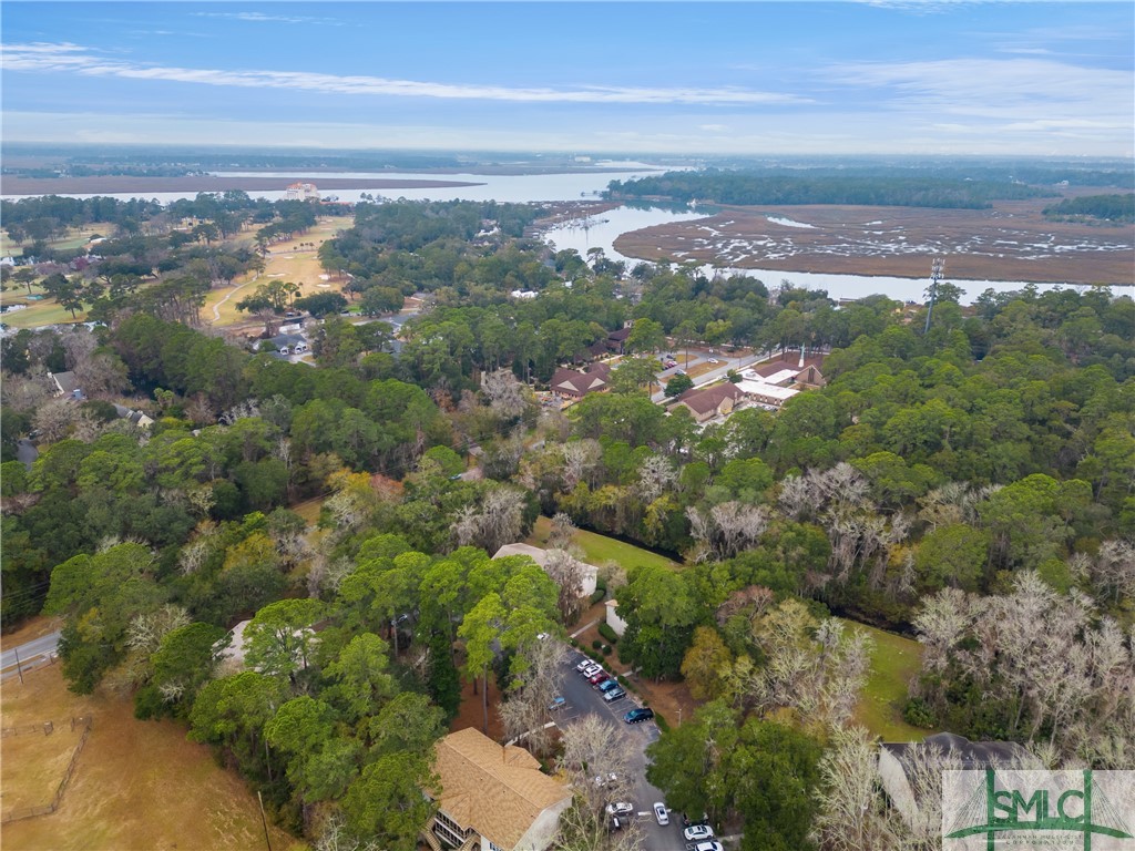 401 North Cromwell Road, Unit T7 Savannah, GA 31410 - Photo 27 of 41 Ariel picture to see proximity to river