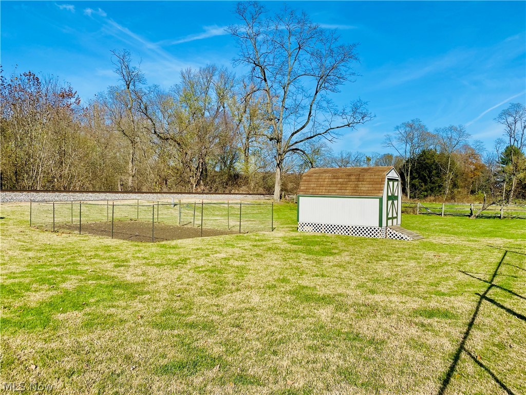 LARGE BACKYARD
