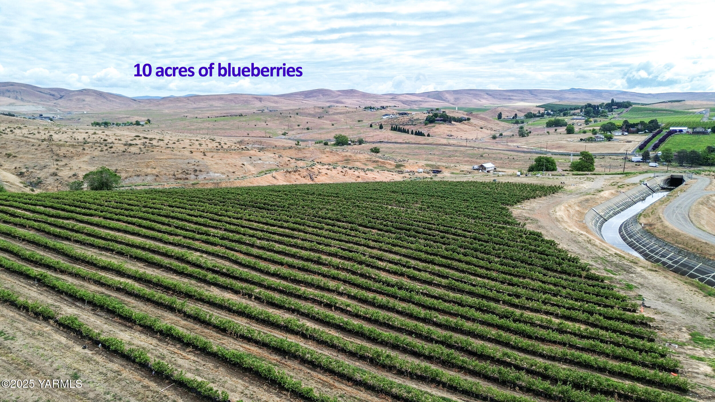 Nka Cheyne Road Zillah, WA 98953 - Photo 3 of 17 NKA Cheyne Rd