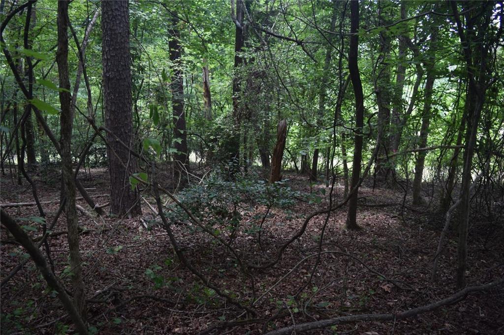792 Lower Dowda Mill Road Jasper, GA 30143 - Photo 31 of 35